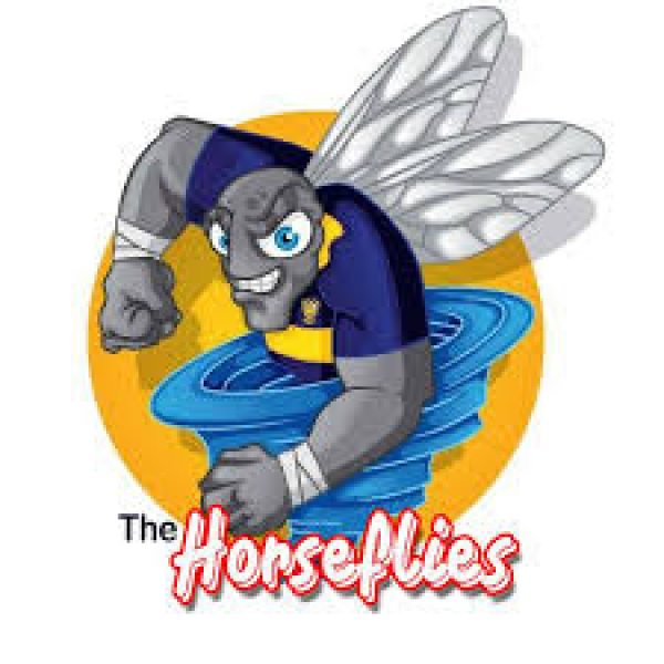 The Horseflies