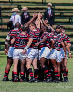 maritzburg college rugby