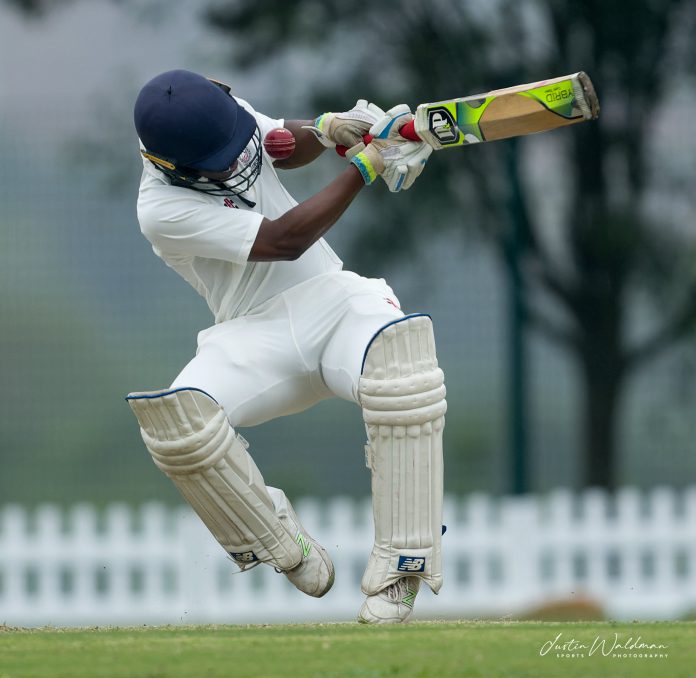 school cricket