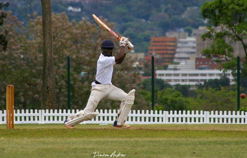 st charles college cricket