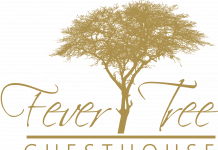 Fever Tree Guesthouse fever tree guest house