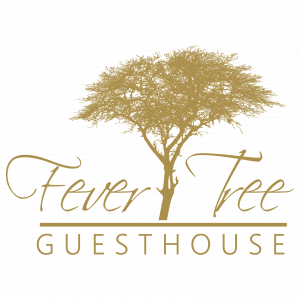 fever tree guesthouse