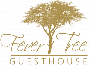 fever tree guesthouse