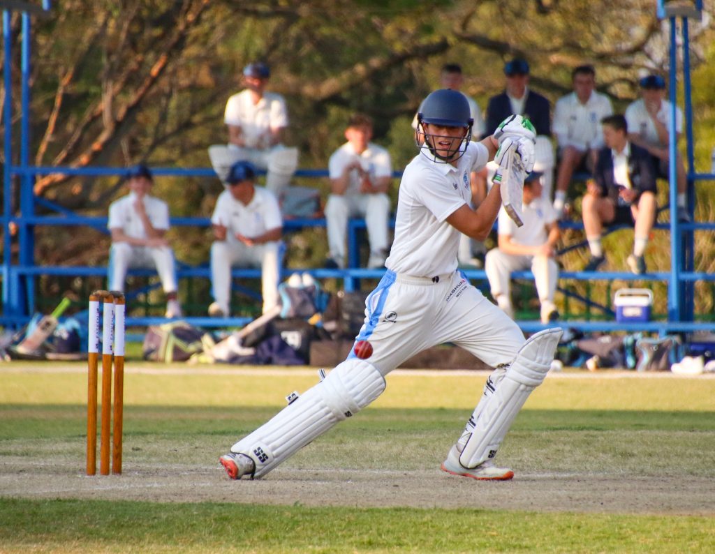 st davids tim cricket festival