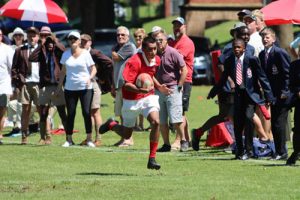 michaelhouse rugby