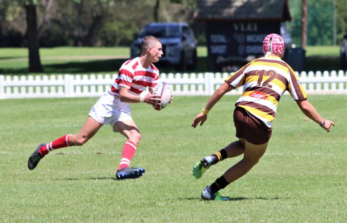 michaelhouse Rugby