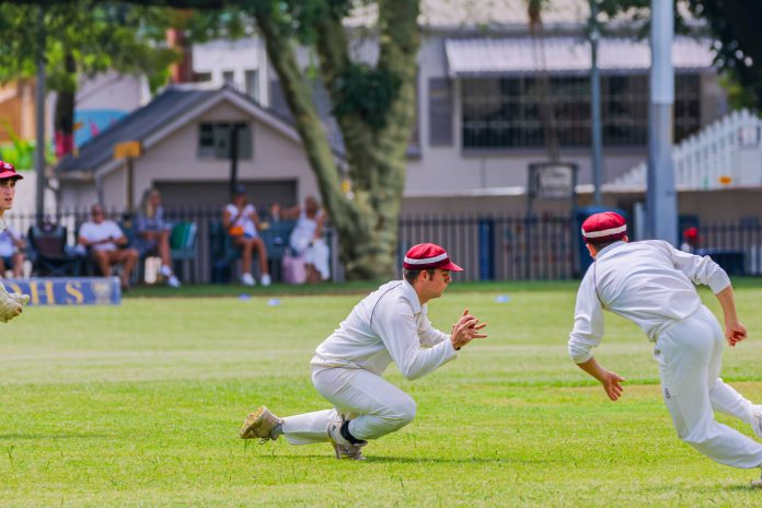 kearsney College cricket