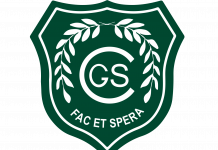 Clarendon Girls High year of sporting excellence clarendon High school