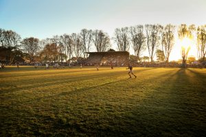 kearsney rugby