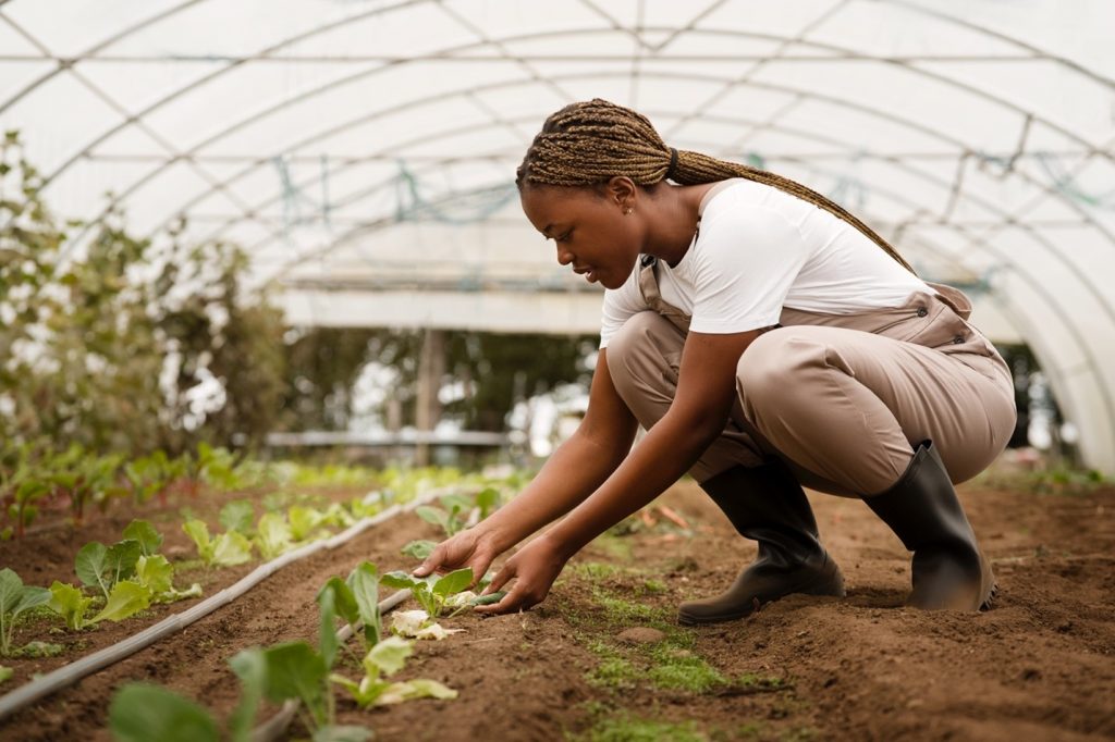 unisa agricultural