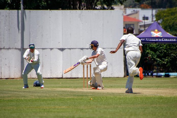 makhanda cricket festival