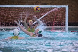 roedean waterpolo