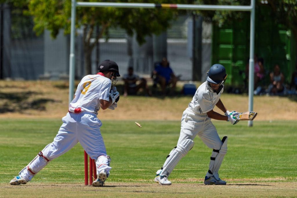 stellenbosch cricket