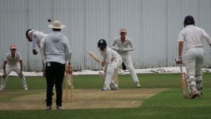 mcollege cricket