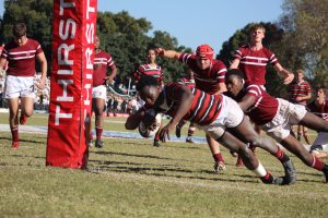maritzburg college rugby