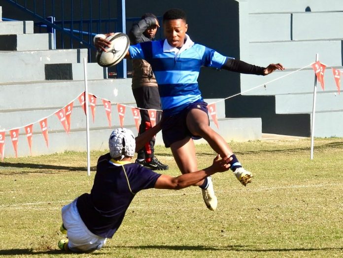 st andrew's college makhanda