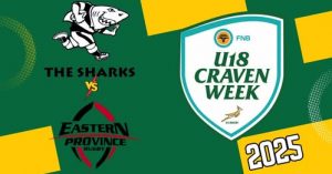 sharks