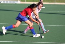 Sports News: Cannons Creek cannons creek