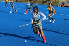 vryheid landbou