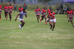 vryheid landbou