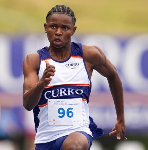 mukona - curro hazeldean