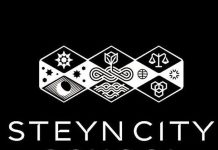 Steyn City School – shaping a strong sporting culture. steyn city logo