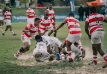 Grey High Rugby Festival – preview and fixtures grey rugby