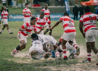 Grey High Rugby Festival – preview and fixtures grey rugby