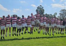 Michaelhouse historic win over Affies. michaelhouse rugby